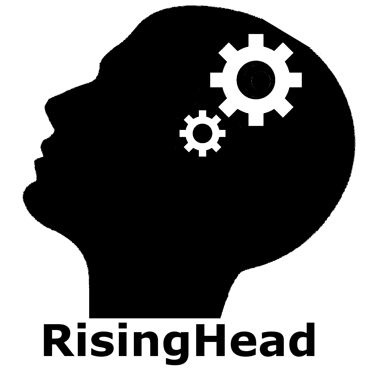 RisingHead Technology